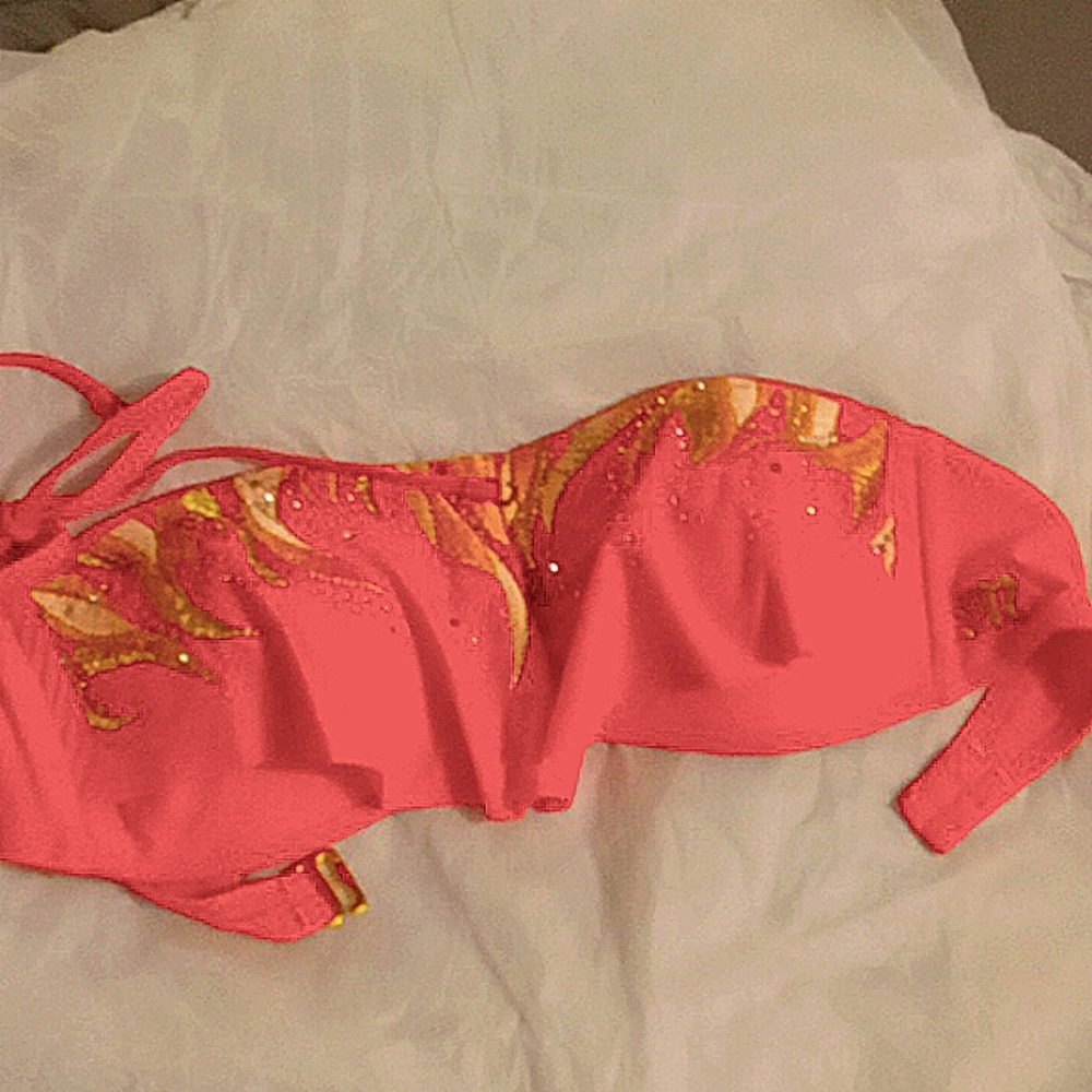 Swim suit top